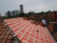 /album/fotogalerij-verbouwing/najaar-2011-117-jpg/